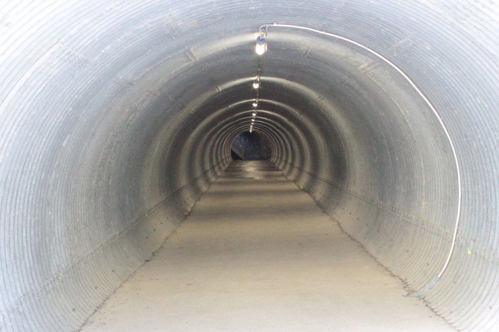 Slide 19